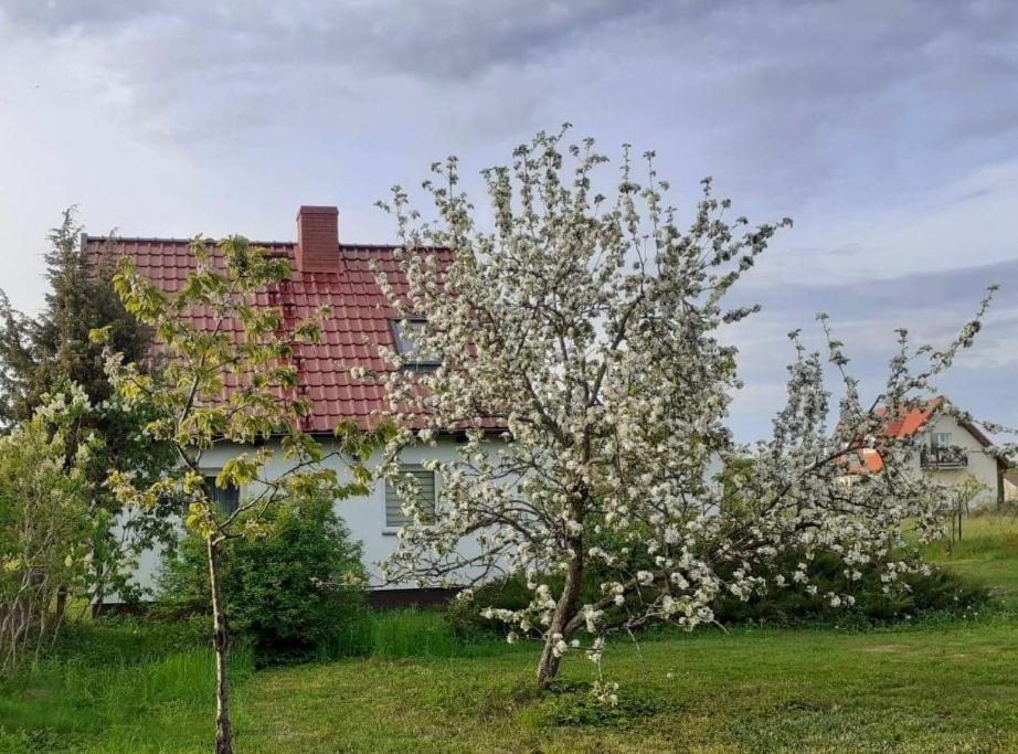 Sleeping Harsz Villa Exterior photo